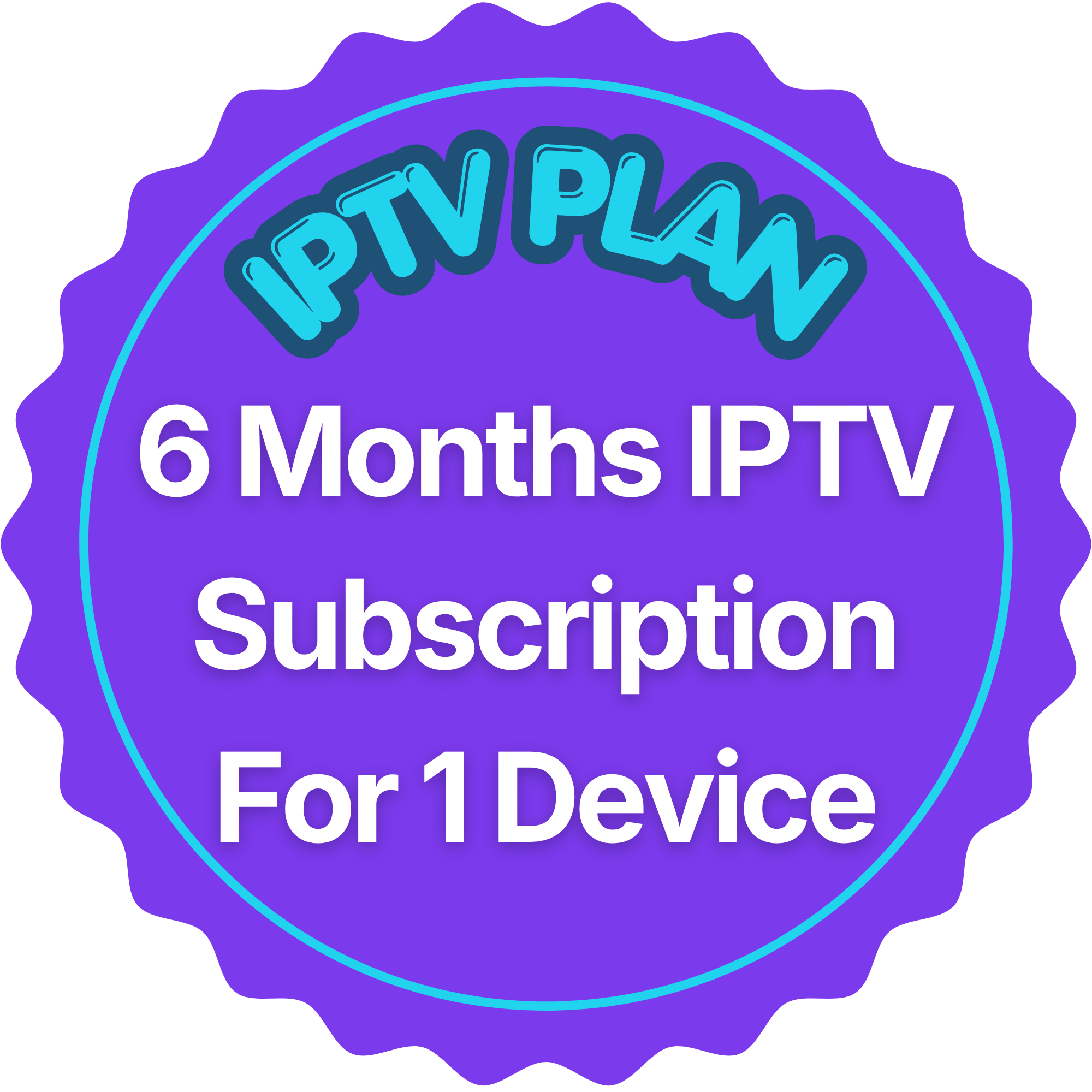 6 Months IPTV Subscription for 1 Device