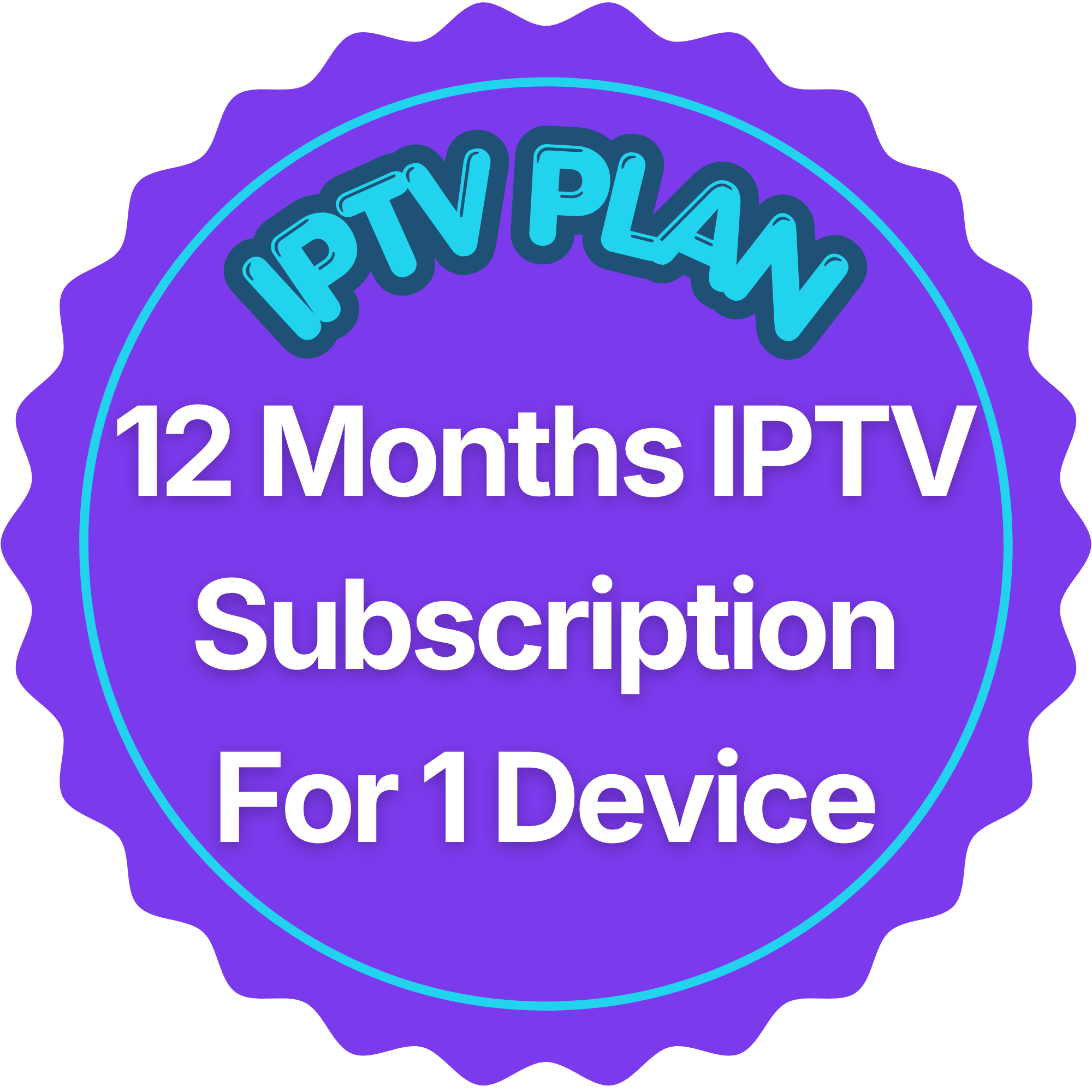 12 Months IPTV Subscription for 1 Device
