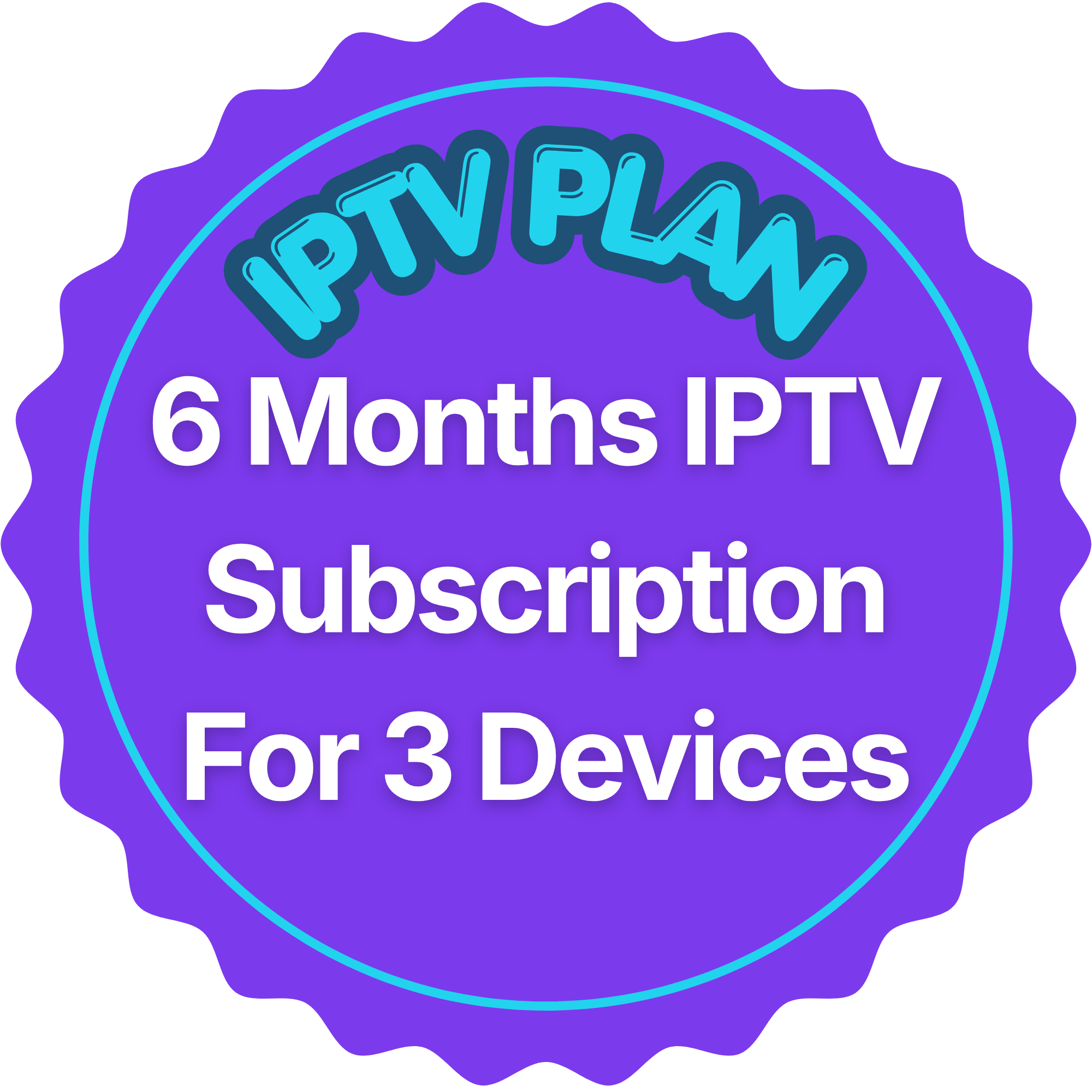 6 Months IPTV Subscription for 3 Devices