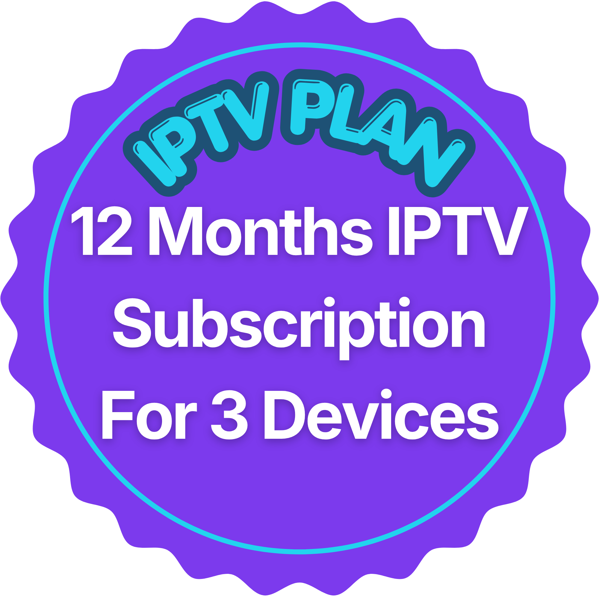 12 Months IPTV Subscription for 3 Devices